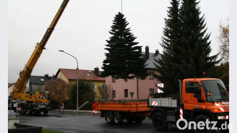 Rund drei Stunden dauerten Holen und Aufstellen des Christbaums. Bild: fpoz