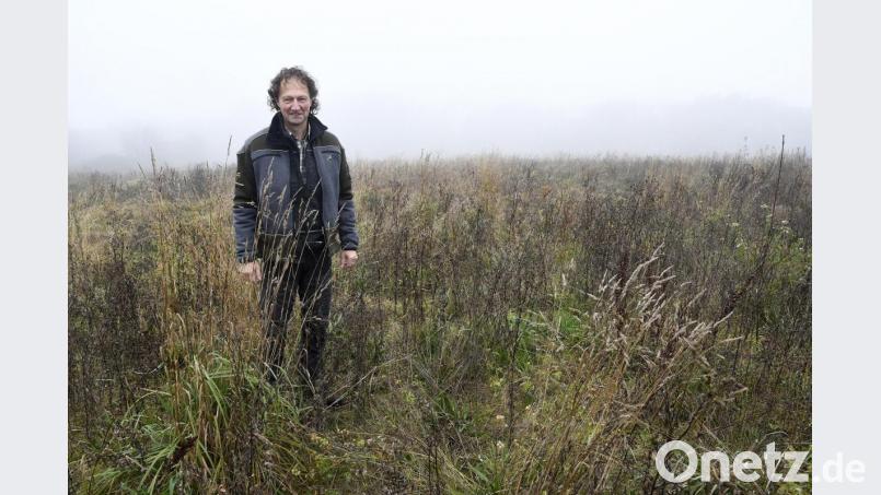 Auf dieser Fläche entsteht in den kommenden zehn Jahren ein Generationen-Wald. Heuer pflanzen die Mitarbeiter des Forstamts die Flatterulme. Sie war der Baum des Jahres 2019. Bild: Petra Hartl