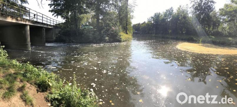 In der Nähe des Wehrs, das den Flutkanal vom Stadtbad trennt, müssen sich in der Nacht zum 12. September dramatische Szenen abgespielt haben. Die sind aber noch nicht so weit geklärt, dass daraus eine Anklage folgen könnte. Bild: Gabi Schönberger