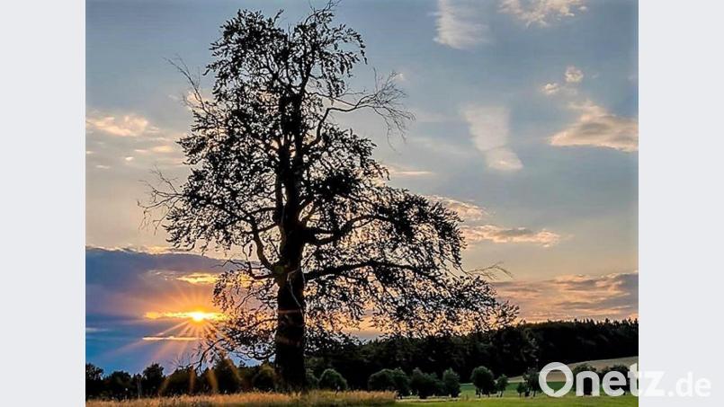 Nahe Paulusbrunn fühlt sich der Betrachter auch &quot;wie im Himmel&quot;. Bild: hcz