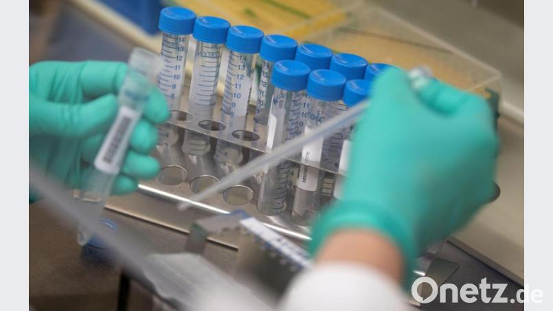 Für Sonntag beziffert das Landesamt für Gesundheit und Lebensmittelsicherheit die Zahl der neuen Covid-19-Fälle im Landkreis Schwandorf auf fünf. Archivbild: Marijan Murat/dpa