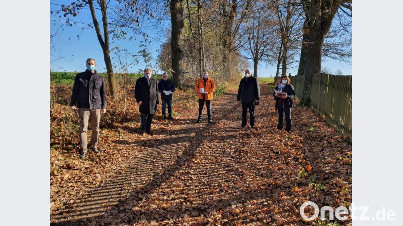 Der Charakter der Allee zwischen Störnstein und Wöllershof soll unbedingt erhalten bleiben: Mathilde Müllner, Bezirkstagsvizepräsident Lothar Höher, Bürgermeister Markus Ludwig, Vertreter des Bezirks und des Landratsamtes (von rechts). Bild: Eichl