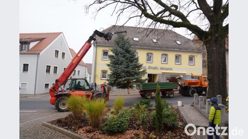 Die blaue Weihnachts - Stechfichte „schwebt“ am Waldthurner Marktplatz ein. Bild: fvo