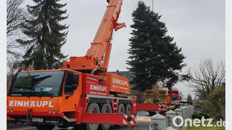 Von einem Autokran wurde die drei Tonnen schwere Tanne auf einen Schwertransporter gehievt. Bild: Christoph Härtl/Bauhof Mitterteich/exb