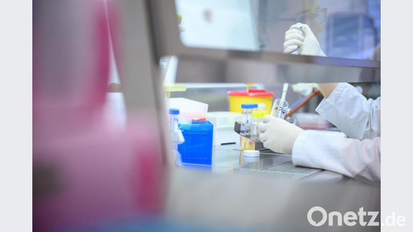 Szene aus einem Labor, das auf das Coronavirus testet. Symbolbild: Sebastian Gollnow/dpa