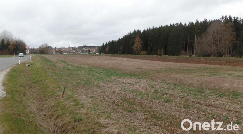 Knapp 38 000 Quadratmeter groß ist die Fläche (rechts im Bild) für das künftige Gewerbegebiet „Neusorg-Süd II“ mit sechs Parzellen und wird über die Gemeindeverbindungsstraße von Neusorg nach Stöcken (links im Bild) verkehrsmäßig erschlossen. Bild: br