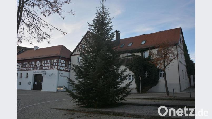 Eine stattliche Edeltanne verschönert seit Montag den Marktplatz in Bad Neualbenreuth. Gestiftet hat sie Maria Forster aus dem Ortsteil Panzen. Bild: jr