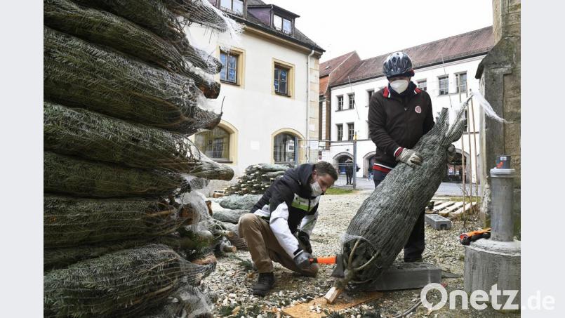 In der Innenstadt von Amberg sollen 300 zusätzliche Weihnachtsbäume für mehr Kundenfrequenz sorgen. Am Dienstag wurden die Bäume geliefert und teilweise schon aufgestellt. Bild: Petra Hartl
