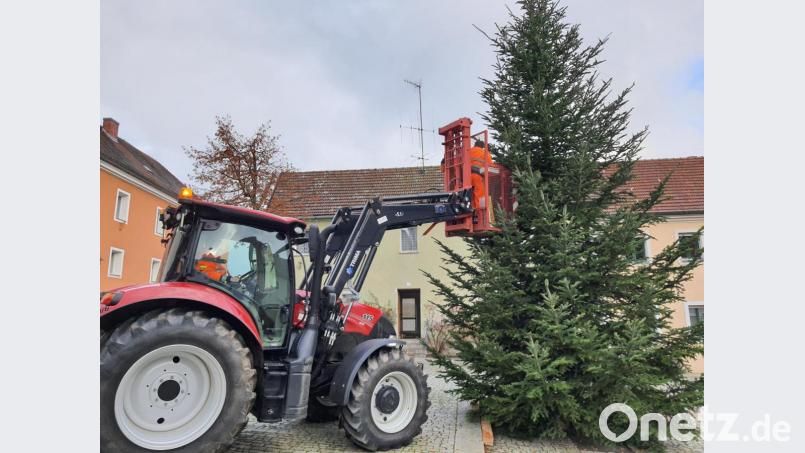 Bauhof-Mitarbeiter der Gemeinde Bad Neualbenreuth haben jetzt mit Unterstützung von Josef Altnöder am Marktplatz einen Christbaum aufgestellt. Bild: jr