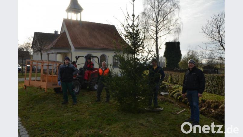 Für den weihnachtlichen Glanz an der Marienkapelle sorgte auch heuer wieder ein eingespieltes Team um Alois Bäumler (rechts). Christian Maier (links) hält das Versprechen von Ludwig Gmeiner aufrecht. Bild: dob