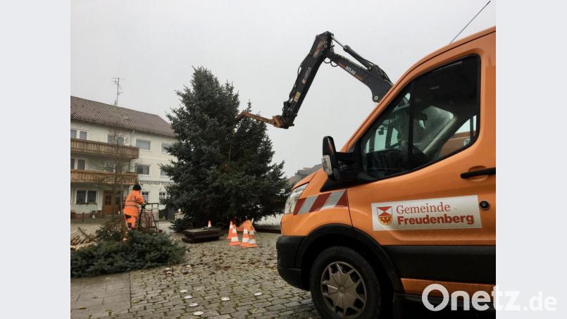 Den Dorfplatz in Freudenberg schmückt seit Mittwoch ein Christbaum, ab dem ersten Adventswochenende werden daran die Lichter leuchten. Bild: gri