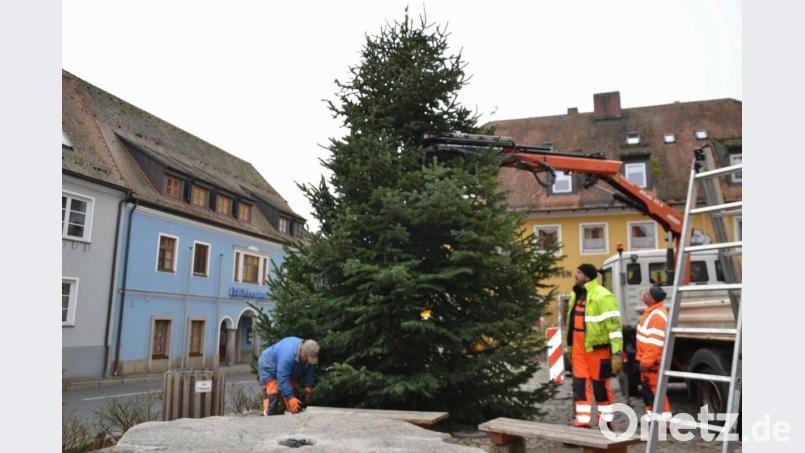 Die Bauhof-Arbeiter stellen den Weihnachtsbaum am Marktplatz auf. Bild: gi