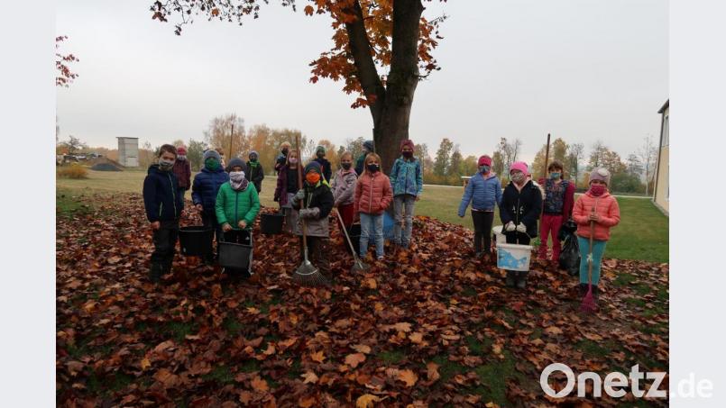 Mit einem großen Laubhaufen bereiteten die Kinder der Klasse 2a hinter dem Schulhaus einen Winterschlafplatz für den Igel vor. Bild: Grundschule Plößberg/exb