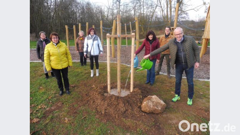 Mit reichlich Wasser begießen Jürgen Huber, FU-Vorsitzende Evi Höllerer und weitere Vorstandsmitglieder (ab Zweiter von rechts) die Sumpfeiche bei der Übergabe an Bürgermeister Bernhard Lindner (rechts). Bild: ibj