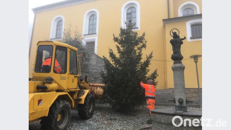 Von Preppach nach Leuchtenberg verpflanzt: Der Christbaum auf dem Marktplatz Bild: fz