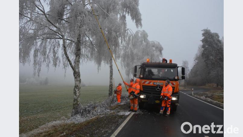 Die Last des Raureifs drückte die Äste einiger Bäume an der Straßen zwischen Konnersreuth und Pechbrunn gefährlich tief nach unten. Baumkontrolleur Tobias Wenisch setzte eine sieben Meter lange Stangensäge ein, um die Äste zu entfernen. Unterstützt wurde er vom Straßenbetriebsdienst des Landkreises Tirschenreuth. Bild: jr