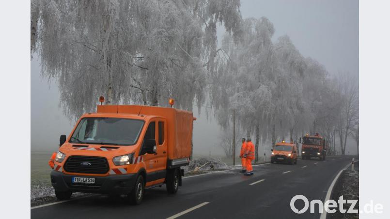 Die Last des Raureifs drückte die Äste einiger Bäume an der Straßen zwischen Konnersreuth und Pechbrunn gefährlich tief nach unten. Das rief Baumkontrolleur Tobias Wenisch und den Straßenbetriebsdienst des Landkreises Tirschenreuth auf den Plan. Bild: jr