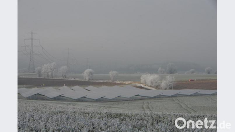 Die Freiflächen-Photovoltaikanlage bei Altenstadt (Richtung Waldthurn) geht demnächst ans Netz. Bild: dob