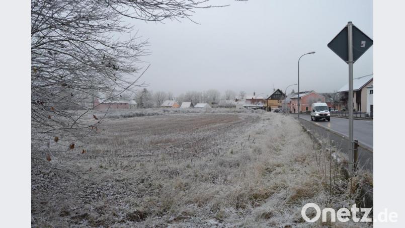 Der Neunburger Stadtrat gab mehrheitlich grünes Licht für den Bebauungsplan für das Areal der alten Gärtnerei. Bild: pko