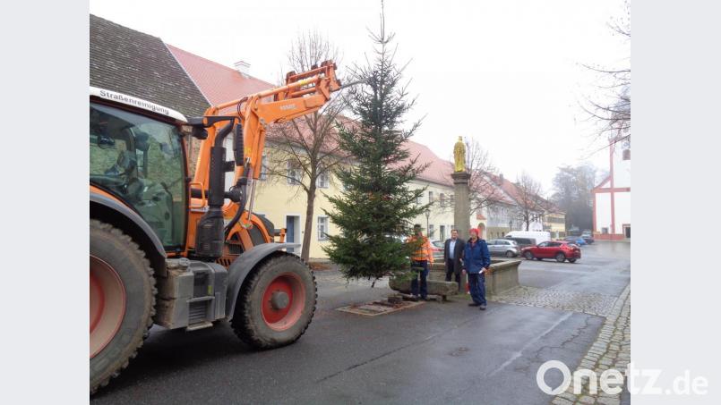 Bevor der Baum verankert wurde gab es noch prüfende Blicke von ILE-Manager Christian Karl (Mitte) und den Bauhofmitarbeitern Bild: amö