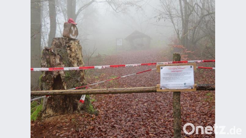 Seit Ende Juli ist der Zugang zum Gipfel des Rauhen Kulms gesperrt. Wegen der Gefahren durch die abgestorbenen Bäume herrscht hier immer noch Lebensgefahr. Bild: ow