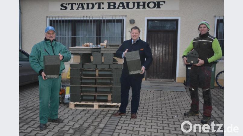 Im Städtischen Bauhof wurden jetzt die achtzig Bruthöhlen für Meisen und Fledermäuse übergeben, die demnächst in einem Gürtel rund um Mitterteich aufgehängt werden. Ziel ist es, damit die Ausbreitung des Eichenprozessionsspinner zu verhindern. Bei der Übergabe mit dabei waren (von links) Stadtgärtner Willi Kilian, Bürgermeister Stefan Grillmeier und Fachagrarwirt Manfred Härtl, der federführend für die fachgerechte Ausführung zuständig ist. Bild: jr