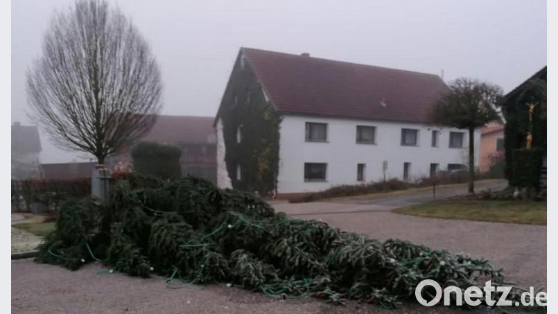 Der fertig geschmückte Mooser Christbaum wurde in der Nacht auf Samstag von Unbekannten umgesägt. Bild: edo