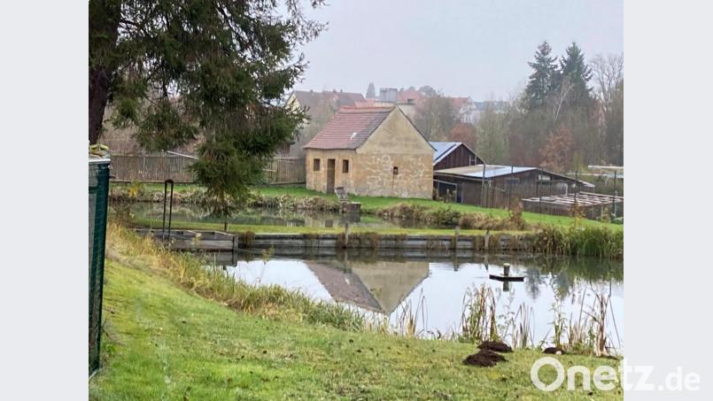 An den alten Weihern am Altmühlweg, hier einer davon, entzündet sich in der Sitzung des Vilsecker Stadtrats eine intensive Diskussion. Bild: e