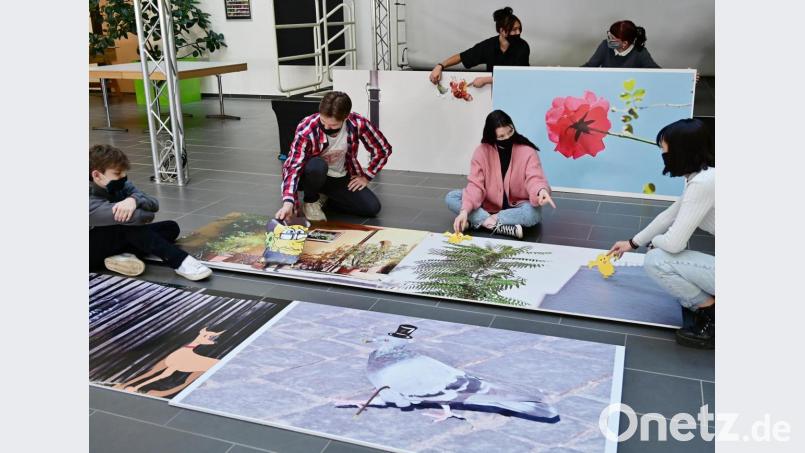 Die Schüler fotografieren Weiden aus einer anderen Perspektive - und stellen die Bilder in Comic-Manier aus. Bild: Silke Winkler