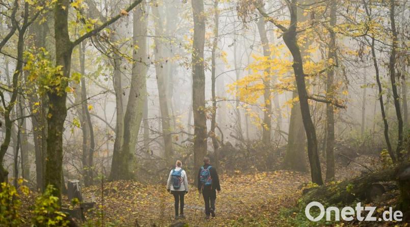 So manchem drückte der Trauermonat November allein mit seinem Wetter aufs Gemüt. Wenn Kontaktbeschränkungen, Ansteckungsgefahr und die Sorge um Angehörige hinzukommen, trifft das einige Menschen besonders hart. Symbolbild: Arne Dedert/dpa
