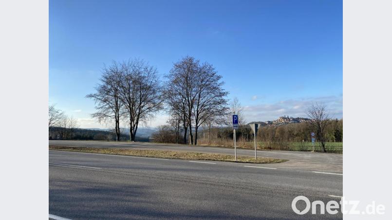 Ein großartiger Blick auf den Markt Leuchtenberg. Leider bleiben Busse hier nicht nur stehen, um den Reisenden den Anblick zu ermöglichen, angeblich erleichtern sich auf den beiden gegenüberliegenden Parkplätzen ganze Busbelegschaften. Bild: Eichl