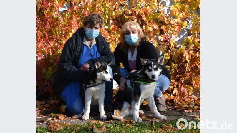 Tierheimleiterin Jutta Böhm (rechts) und Mitarbeiterin Petra Bauer mit &quot;Blue&quot; und &quot;Iwan&quot;. Sie sind die letzten beiden Hunde aus einem Wurf Huskys, die vermittelt wurden, nachdem sie im Tierheim abgegeben worden waren. Bild: hcz