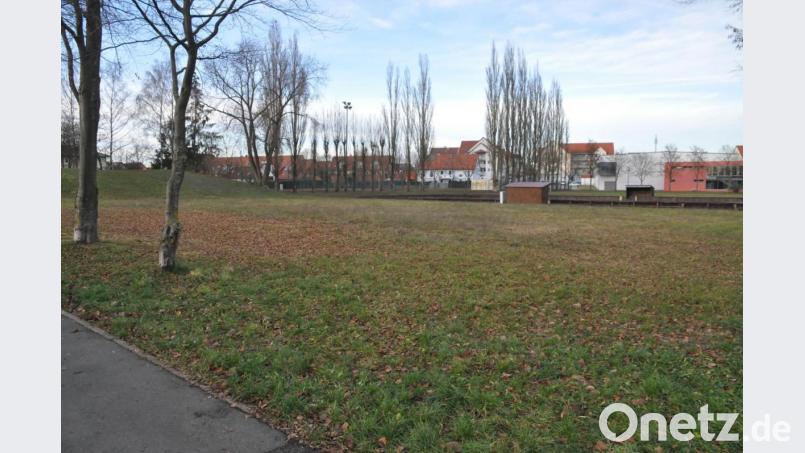 Aus dem Areal zwischen Schulgebäude und Sportarena soll ein Mehrgenerationenpark werden. Über Details möchten sich die Gemeinderäte in einer Klausurtagung Gedanken machen. Um Fördermittel zu erhalten, ist ein Entwicklungskonzept erforderlich, an dessen Erstellung auch die Bürger mitwirken sollen. Bild: ak