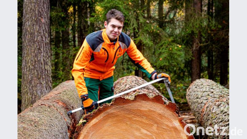 Christian Schneider, Mitarbeiter am Forstbetrieb Fichtelberg vermisst einen wertvollen Lärchen-Stamm. Bild: Martin Hertel/exb