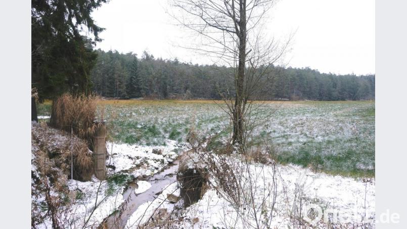 Der Schneidweiher soll künftig als Hochwasserrückhalt dienen. Eine Dammverstärkung soll einen weiteren Dammbruch wie links im Bild verhindern. Bild: do