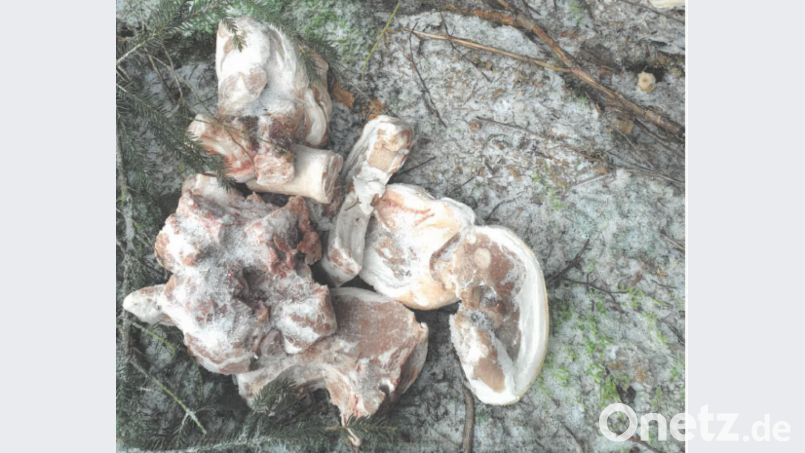Jemand hat Fleisch in einem Waldstück bei Tännesberg entsorgt. Bild: Polizeiinspektion Vohenstrauß