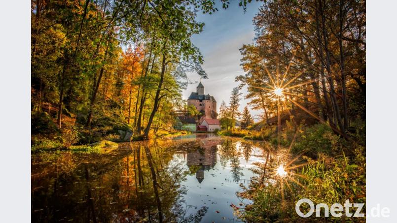 Fotograf Norbert Schreiber wird mit seinem Bild der versteckten Burg Falkenberg im Oberpfalz-Kalender 2022 sein. Bild: Norbert Schreiber/exb