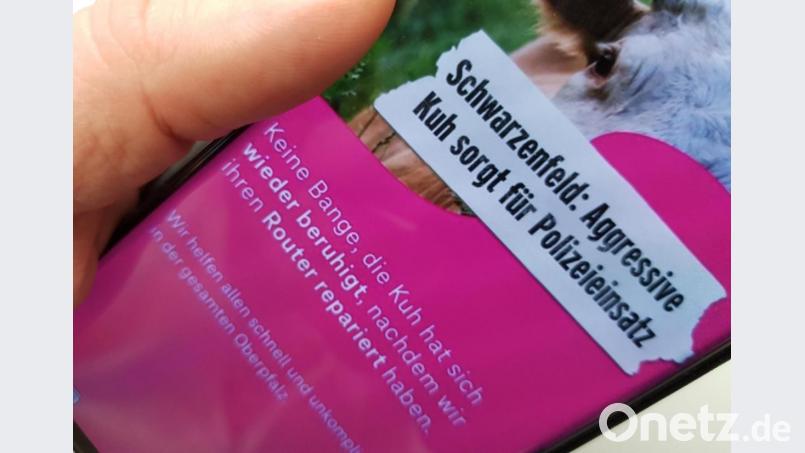 Seltsame Werbung: War lustig gemeint, hat aber außer acht gelassen, dass die zugrunde liegende Angelegenheit ziemlich blutig endete und sich die Kuh eben nicht „wieder beruhigt“ hat. Bild: mp