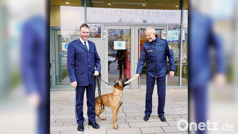Polizeihund Ratz hat für seine Arbeit eine Belohnung erhalten. Bild: Polzeipräsidium Regensburg