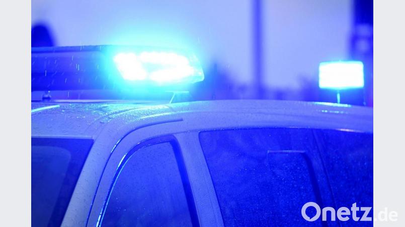 Polizeihund "Jimmy" hat im Landkreis Freyung-Grafenau einen vermissten Mann gefunden. Symbolbild: Carsten Rehder/dpa