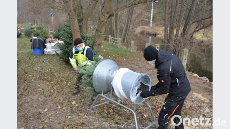 Hans-Josef Völkl (links) und Michael Biegerl (rechts) von der Krieger- und Soldatenkameradschaft ziehen einen verkauften Tannenbaum durch die Verpackungsröhre, damit der Christbaum besser transportiert werden konnte. Bild: dob