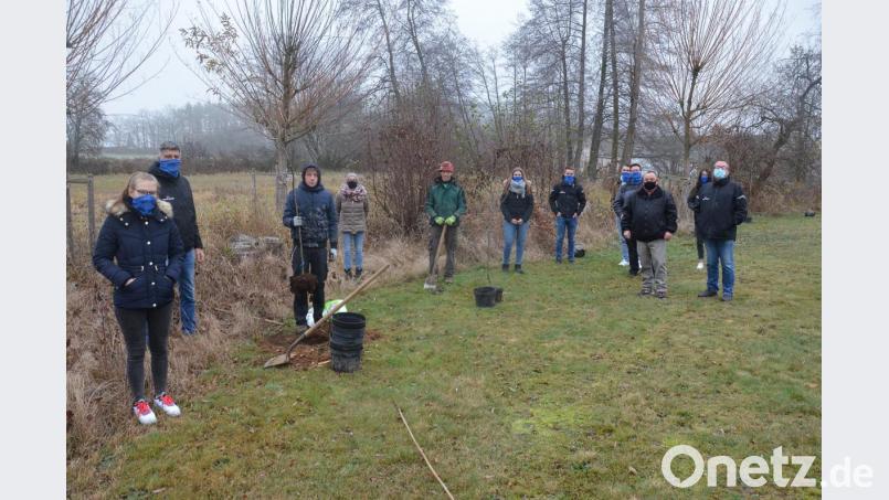 Baumpflanzaktion im Schätzlerbad. Bild: uz