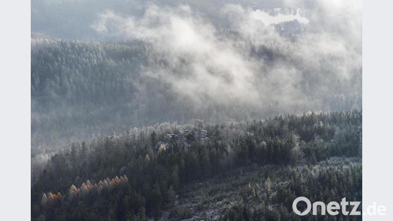 Grandioser Blick auf die Burgruine Weißenstein im Steinwald. Bild: mür