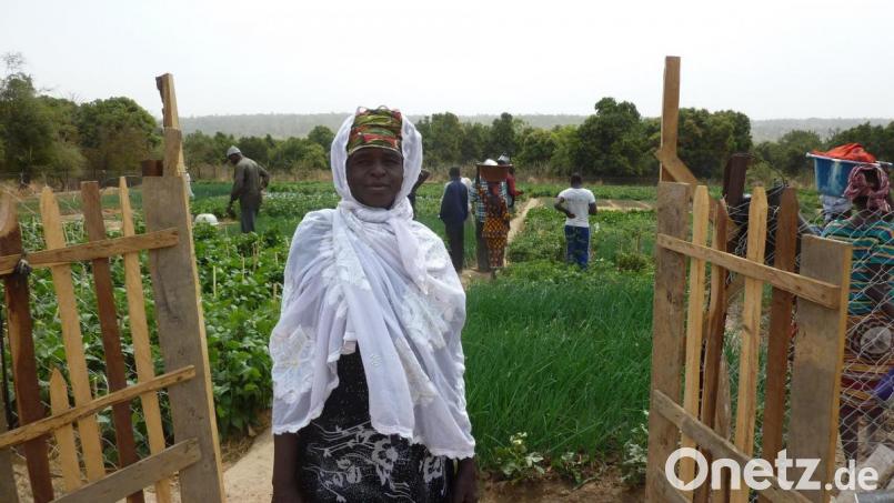Die Gärten in Mali sind gepflegt. Einzäunungen verhindern Zerstörungen durch Tiere. Bild: LAG Mali/exb