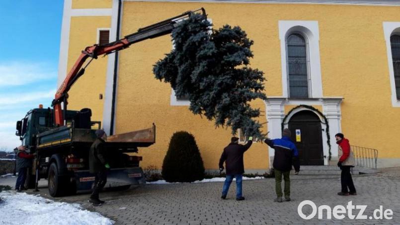 Der Christbaum für die Pfarrkirche St. Ägidius Ebnath hat noch ein paar beschwerliche Meter vor sich. . Bild: soj