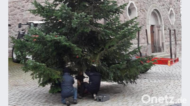Mitglieder des OWV kümmerten sich um das Aufstellen des Weihnachtsbaumes. Bild: wro