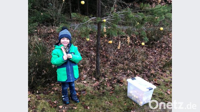 Egal ob Baum behängen oder Weihnachtswichtel treffen, den Kindern machte der Nikolausweg viel Spaß. Bild: njn