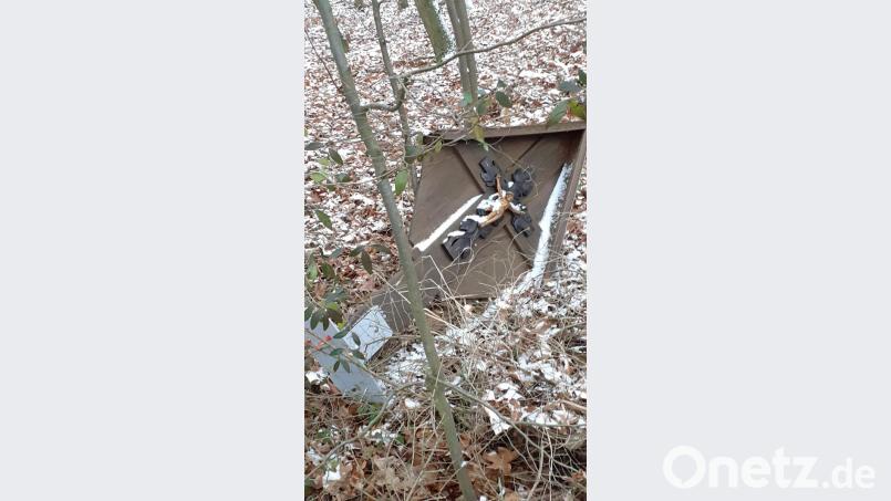Achtlos wurde das Marterl in den Wald geworfen. Bild: bey