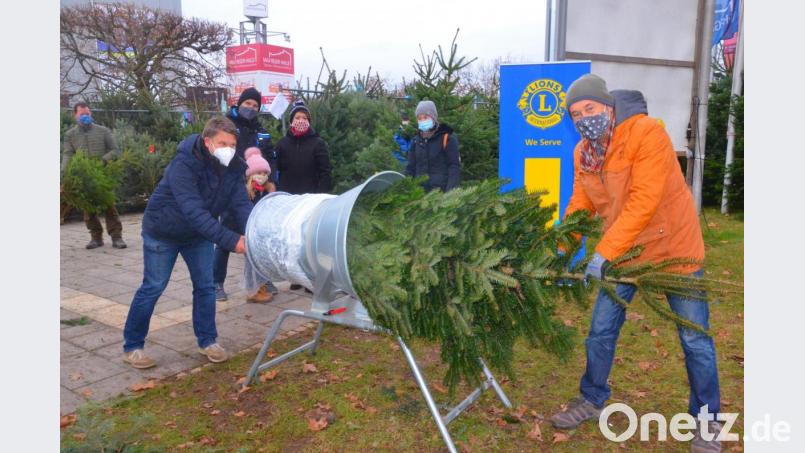 Weihnachtsbaumverkauf für den guten Zweck. Bild: Kunz
