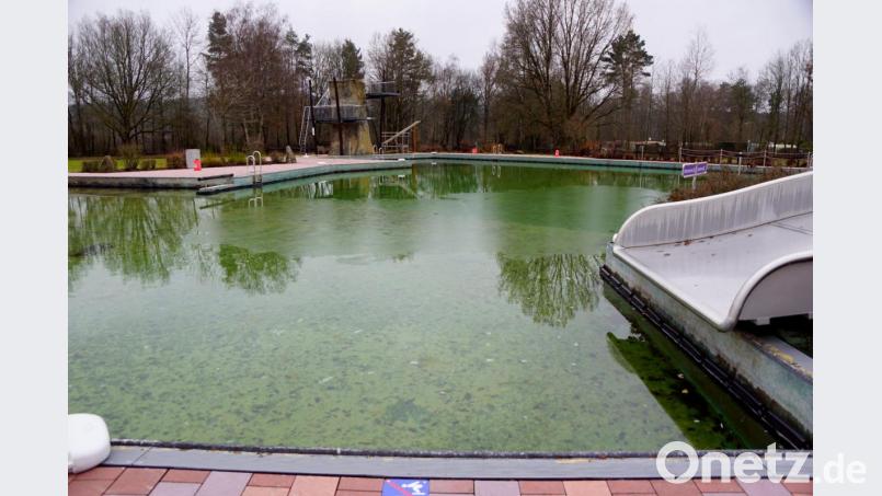 Naturerlebnisbad Immenreuth: Dünne Eisflächen schwimmen schon auf der Wasseroberfläche. Die Eisbären beim Neujahrsschwimmen würden sie nicht abschrecken. Im Gegenteil. Ihren unentgeltlichen Dienst leisten bereits wieder bis zum Frühjahr Graskarpfen im Becken. Bild: bkr